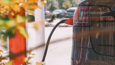 2023 Model 3'ün LFP Bataryası Neden Beklentiyi Karşılayamadı?