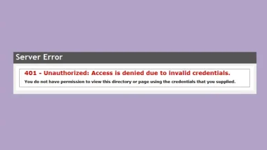 401 Yetkisiz Hatası Nedir ve Nasıl Düzeltilir?