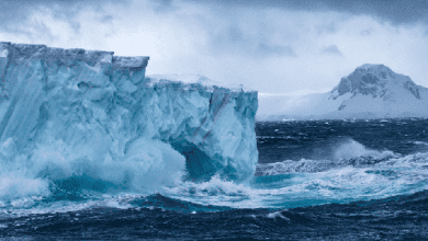 Antarktika'nın Buzul Gizemi: Wilkes Land'de Saklı Antik Kıta Keşfi