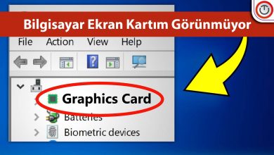 Bilgisayar Ekran Kartımı Görünmüyor