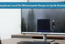 DeepScan-Local