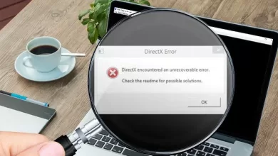 Desteklenen DirectX sürümü bulunamadı" Hatası