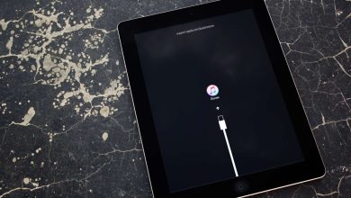 Parola Olmadan iPad'inizi Sıfırlayın