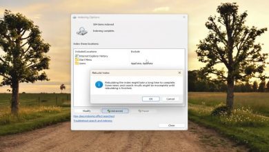 Windows 11/10'da Dizinleme Sorunları ve Çözüm Yolları