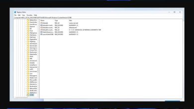 Windows 11 kurulumu internet bağlantısı ve Microsoft Hesabını atlama