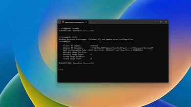 Windows Kurtarma Ortamı (WinRE) Nasıl Etkinleştirilir veya Devre Dışı Bırakılır?