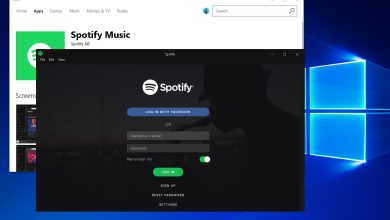 Windows'ta Spotify Yüklenmiyor mu?