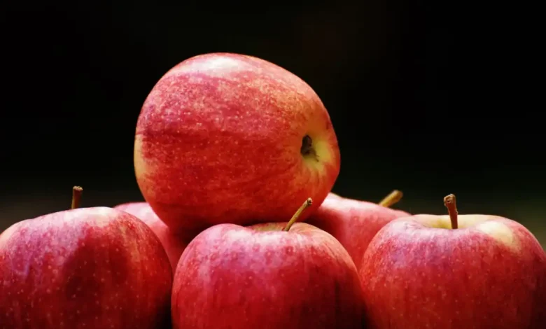 AppleCare One Küresel Pazarlara Açılıyor: Çoklu Cihaz Koruması Genişliyor