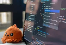 Brave Tarayıcıda Leo AI: Akıllı Asistanı Etkinleştirme Rehberi