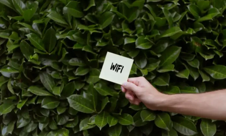 Evinizdeki Zayıf Wi-Fi Kapsamı İçin Doğru Çözüm Router Değil