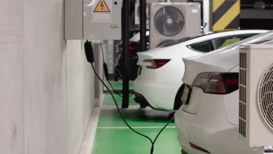 Ford CEO'su Uyardı: Çinli Elektrikli Araçlar ABD Yollarında Görünebilir