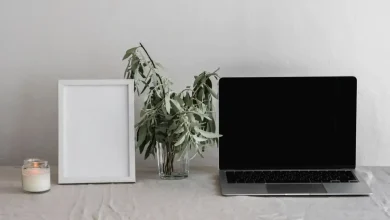 Fraimic Canvas: Yapay Zekayla Evrimleşen Bir Sanat Çerçevesi