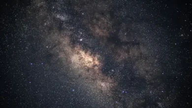 Galaxy Watch: 5 Yıllık Yazılım Desteğiyle Sektörde Fark Yaratıyor