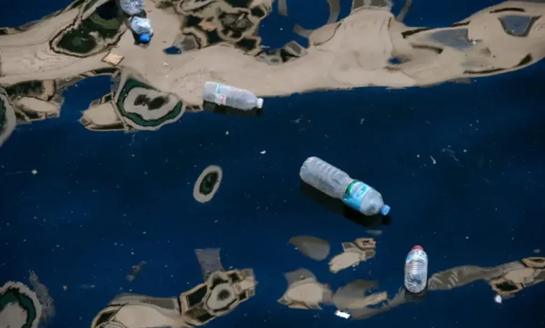 Hyundai ve Healthy Seas İş Birliği Türkiye Kıyılarında Genişliyor