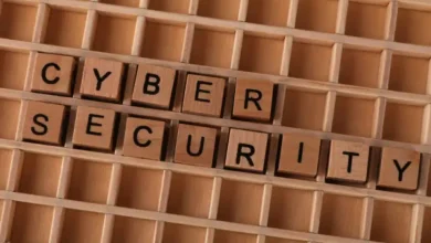 IP Adresi Riskleri: Siber Güvenliğiniz Neden Tehdit Altında?