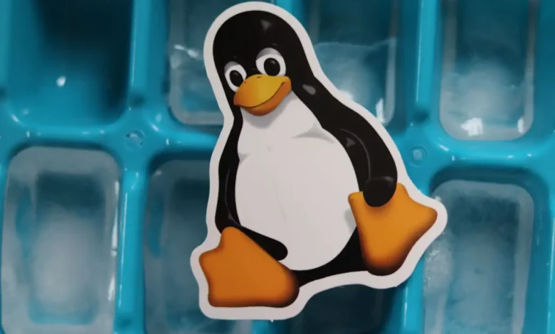 Linux Deneyiminizi Bozabilecek İki Ana Masaüstü Ortamı: GNOME ve KDE Plasma