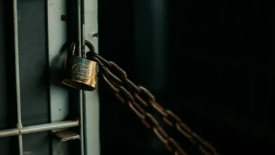 LiteLLM Güvenlik Açığı 2.500'den Fazla Kuruluşu Tehdit Ediyor