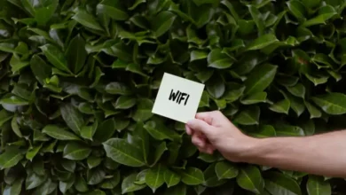 Mesh Wi-Fi'ın Gizli Yüzü: Kapsama Alanı Hız Vaadi Değil