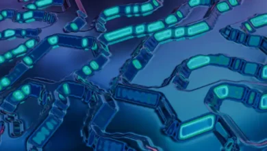 Microsoft .NET 11 Önizleme 6: Çalışma Zamanından Dillere Tüm Detaylar