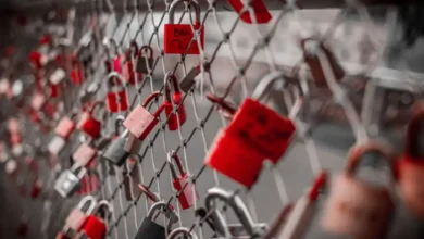 NAS Dosya Transfer Hızı: Ağınız Değil, Depolamanız Yavaş