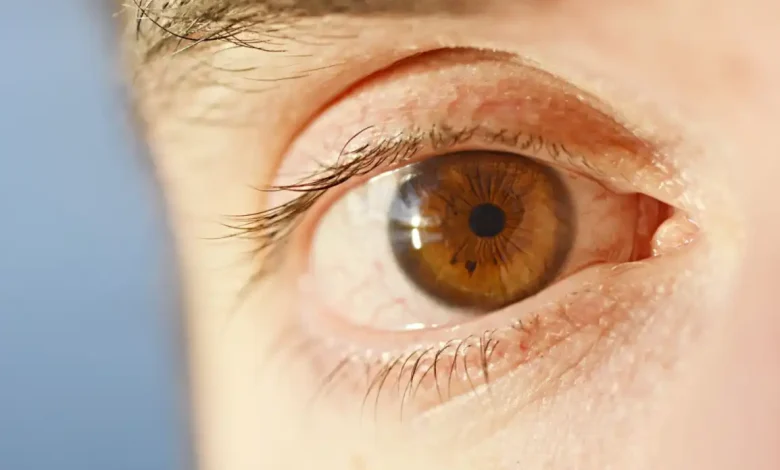 Sam Altman'ın Kimlik Girişimi World, Kripto Satışıyla 52.5 Milyon Dolar Topladı