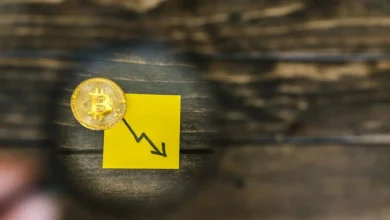 Trump Memecoin Zararı: Yatırımcılar Neden Milyarlarca Dolar Kaybetti?