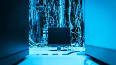 Türkiye'de İnternet Kullanım Oranları Yüzde 92,3'e Ulaştı