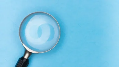 Windows 11 Arama Kutusu Reklamlara Veda Ediyor